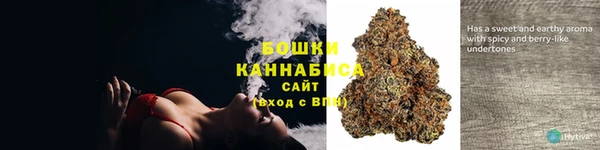 амф Осинники