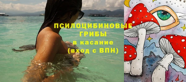 амф Осинники